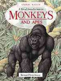 Produktbild: A Visual Introduction to Monkeys & Apes: A Visual Introduction to Monkeys and Apes