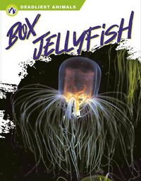Produktbild: Box Jellyfish