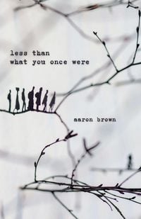 Produktbild: Less Than What You Once Were