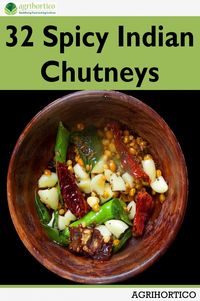 Produktbild: 32 Spicy Indian Chutneys