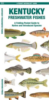 Produktbild: Kentucky Freshwater Fishes