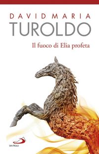 Produktbild: Il fuoco di Elia profeta. Omelie 1989-1990 - Testamento spirituale