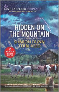 Produktbild: Hidden on the Mountain