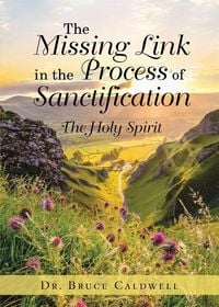 Produktbild: The Missing Link in the Process of Sanctification
