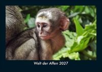Produktbild: Welt der Affen 2027 Fotokalender DIN A5