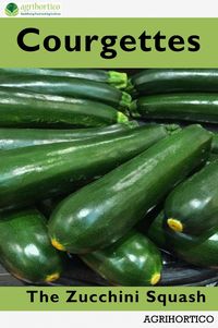 Produktbild: Courgettes