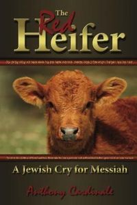 Produktbild: Red Heifer