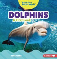 Produktbild: Dolphins