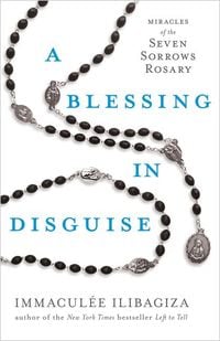 Produktbild: A Blessing in Disguise