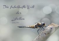 Produktbild: Die fabelhafte Welt der Libellen (Tischaufsteller DIN A5 quer)