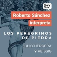 Produktbild: Los peregrinos de piedra