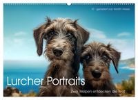 Produktbild: Lurcher Portraits - Zwei Welpen entdecken die Welt (Wandkalender 2027 DIN A2 quer), CALVENDO Monatskalender