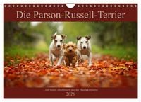 Produktbild: Die Parson-Russell-Terrier ...mit neuen Abenteuern aus der Hundeknipserei (Wandkalender 2026 DIN A4 quer), CALVENDO Monatskalender