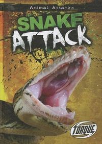 Produktbild: Snake Attack
