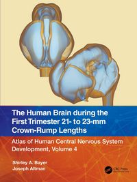 Produktbild: The Human Brain during the First Trimester 21- to 23-mm Crown-Rump Lengths