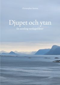 Produktbild: Djupet och ytan
