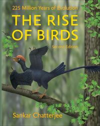 Produktbild: Rise of Birds
