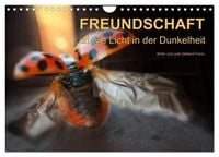 Produktbild: Freundschaft (Wandkalender 2027 DIN A4 quer), CALVENDO Monatskalender