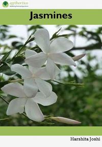 Produktbild: Jasmines