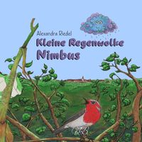 Produktbild: Kleine Regenwolke Nimbus