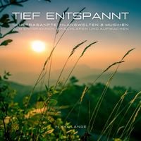 Produktbild: 12 ultrasanfte Musiken & Klangwelten zum Entspannen, Einschlafen und Aufwachen in XXL-L&auml;nge