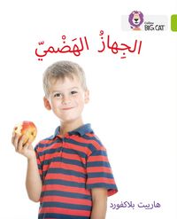 Produktbild: The Digestive System