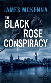Produktbild: The Back Rose Conspiracy
