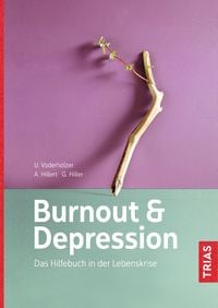 Bild vom Artikel Burnout & Depression vom Autor Ulrich Voderholzer