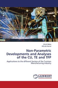 Produktbild: Non-Parametric Developments and Analyses of the CU, TE and TFP