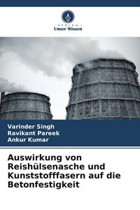 Produktbild: Auswirkung von Reish&uuml;lsenasche und Kunststofffasern auf die Betonfestigkeit