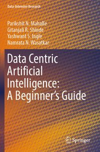 Produktbild: Data Centric Artificial Intelligence: A Beginner&rsquo;s Guide