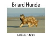 Produktbild: Briard Hunde (Wandkalender 2024, Kalender DIN A4 quer, Monatskalender im Querformat mit Kalendarium, Das perfekte Geschenk)