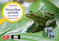 Produktbild: Frosch, Biber und Libelle. Tiere am Wasser. Kamishibai Bildkarten und Memo-Spiel