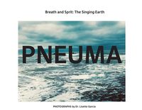 Produktbild: Pneuma