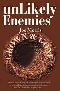 Produktbild: Unlikely Enemies