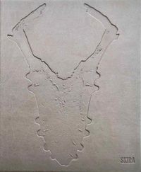 Produktbild: Adriano Amaral
