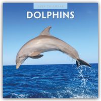 Produktbild: Dolphins &ndash; Delfine 2027 &ndash; 16-Monatskalender