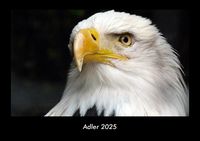 Produktbild: Adler 2025 Fotokalender DIN A3