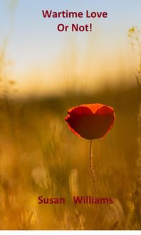 Produktbild: Wartime Love or Not!