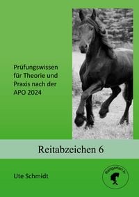 Produktbild: Reitabzeichen 6