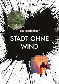 Produktbild: Stadt ohne Wind