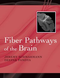 Produktbild: Fiber Pathways of the Brain