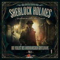 Produktbild: Der Verlust des amerikanischen Gentlemans 2. Teil