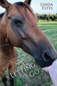 Produktbild: Letting Go