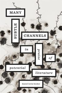 Produktbild: Levin, B: Many Subtle Channels