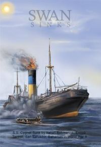 Produktbild: Swan Sinks