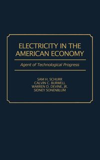 Produktbild: Electricity in the American Economy