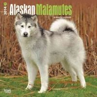 Produktbild: Alaskan Malamutes Calendar