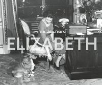 Produktbild: The Times Elizabeth in Photos