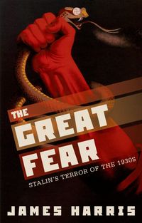 Produktbild: The Great Fear